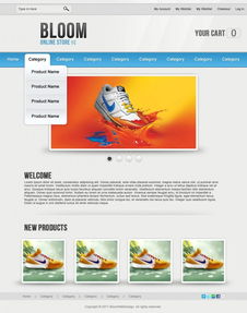 國外優秀電子商務網頁設計教程與網絡工程實踐指南