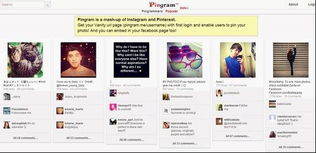 網站建設、設計與網絡工程 構建數字化未來的基石